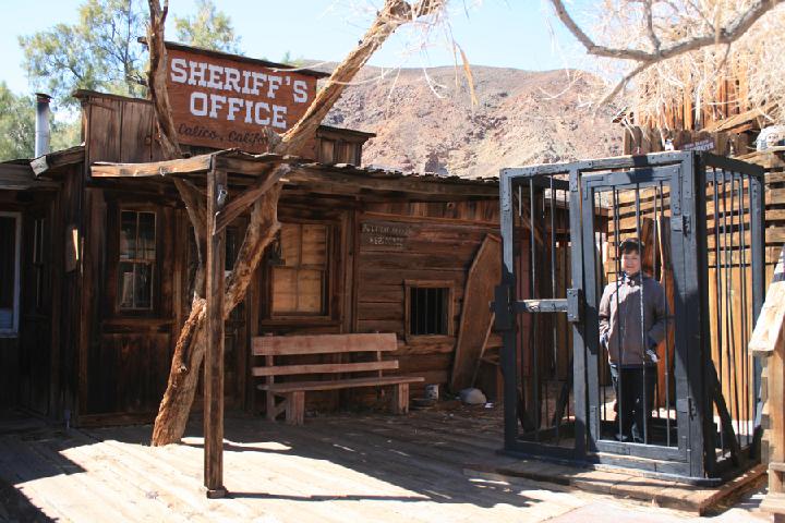 2- Calico 0026.JPG